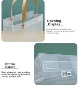 Detail of frosted semi-transparent gift bag with rivet handles and 24x19x9cm size label