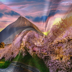 Detail of high-definition printing on silky fabric featuring Mount Fuji and cherry blossoms