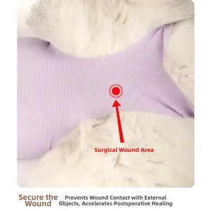 Detail of lavender ribbed recovery suit on a pet showing surgical wound protection