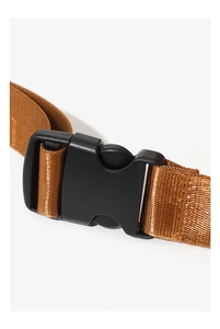 Detail of adjustable bronze nylon strap and black plastic quick-release buckle on fanny pack