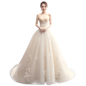 Champagne tube top wedding dress with butterfly embroidery and sequined lace