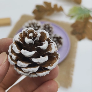 Natuurlijke dennenappel met witte randen voor kerstboomdecoratie en ambachten