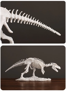 Vue détaillée du squelette de dinosaure blanc avec base texturée sur un bureau en bois