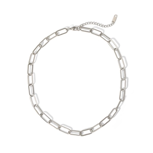 Detail of silver stainless steel paperclip chain necklace with lobster clasp and tag