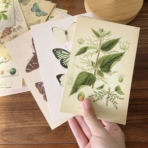 30pcs vintage forest plant decorative cards featuring botanical illustrations on wood table