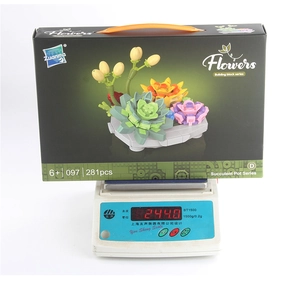 Detailed weight measurement showing 244g for the succulent plant building block toy set