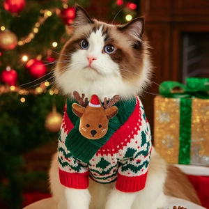 Detail of Christmas pet sweater with 3D reindeer decor and knitted festive pattern