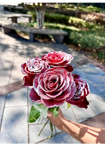 Close-up of frosted dark red rose bouquet with snow-covered petal edges in park setting