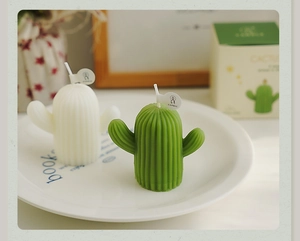 Gros plan de bougies parfumées en forme de cactus avec boîte cadeau esthétique