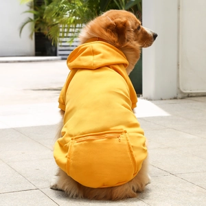 Golden Retriever wearing a bright yellow pet hoodie with a functional zipper pocket on back