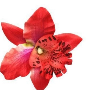 Hawaiian red orchid hair clip for beach vacations, handmade bohemian floral accessory