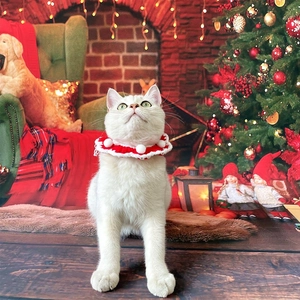 Detailed view of hand-knitted red and white Christmas pet collar on a cat