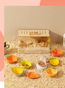 Colorful ceramic hamster bowls in fruit shapes on wood shavings in a natural habitat