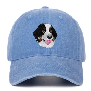 Détail de la broderie de Bouvier Bernois sur la casquette en coton lavé bleu clair