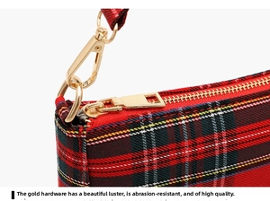 Close-up of red plaid baguette bag with polished gold-tone metal zipper and hook detail