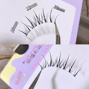 Natural airy sunflower false eyelashes with transparent base and 10mm-12mm length