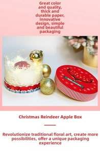 Detail of transparent Christmas apple gift box with red reindeer lid and LED fairy lights