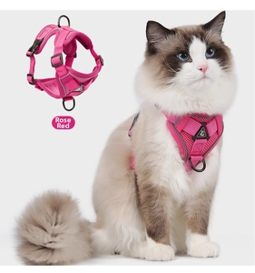 Detail of rose red cat harness with breathable mesh fabric and reflective safety strips