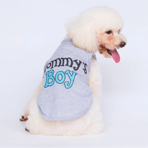 Grey Mommy's Boy dog vest in breathable cotton for small pets and teddy puppies