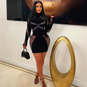 Robe Mini Sexy Ajourée En Mesh À Manches Longues Col Montant Bodycon Clubwear Polyester Élasthanne Géométrique Noir