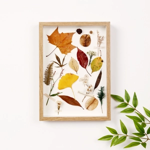 Cornice per fiori pressati in legno chiaro con foglie autunnali e decorazioni botaniche