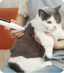 Close-up of pet electric hair trimmer being used on a cat back for grooming