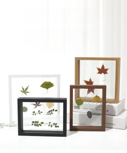 Double-sided glass frames showing botanical specimens in multiple wood finishes