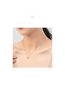 Detail shot of a s925 silver heart necklace with crystal inlay on a model neck