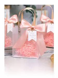 Detail of frosted gift bag with pink silk bow and Happy Teacher's Day hanging tag