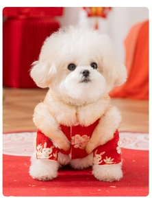 Detail of red festive pet Tang suit with plush collar and rabbit floral embroidery