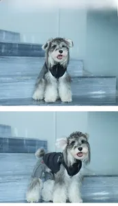 Vertical view of dog model wearing black zip-up turtleneck and grey denim jeans