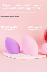Detail of mushroom makeup sponges showing size comparison between dry and wet state