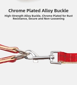 Close-up of durable chrome-plated alloy lobster clasp and D-ring on plaid dog harness