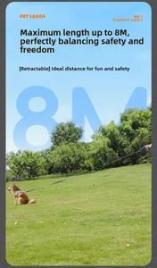 Outdoor wide shot showing 8m retractable dog leash in use on a sunny green lawn