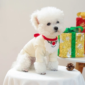 Detail of Bichon dog wearing a white knit sweater and Santa beard bib with gift boxes