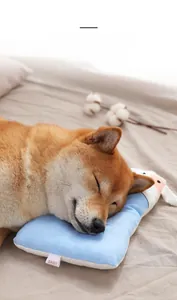 Nahaufnahme eines Shiba Inu, der auf einem weichen blauen Haustierkissen mit Baby-Etikett schläft