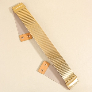 Brede elastische damesriem met gouden metalen plaat en beige elastische band