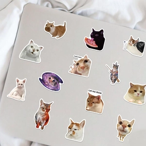 Close-up of funny cat meme stickers on a laptop surface for creative decoration