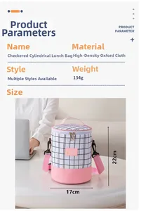 Detailed view of pink plaid cylinder lunch bag with size 17x22cm and shoulder strap