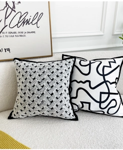 Detail of woven velvet pillow with black piping and abstract lines on white sofa
