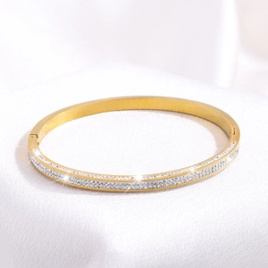 Detail of gold titanium steel bangle with double row of pavé set white cubic zirconia
