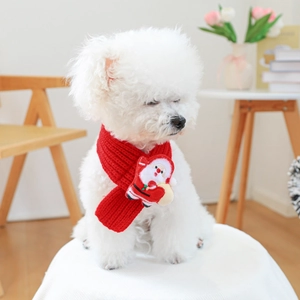 Close-up of a red knitted Christmas scarf with Santa Claus charm on a white dog