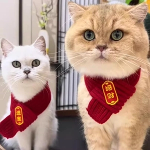 Écharpe festive rouge en tricot pour animaux avec broderie dorée pour chats et chiens