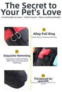 Detail of alloy D-ring and reinforced stitching on padded winter dog coat