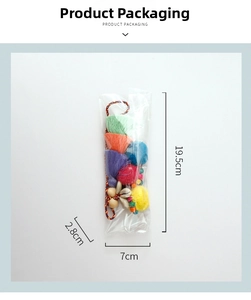 Detail of colorful tassel charm with pom poms and shells in clear packaging bag