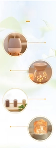 Essential oil usage guide for diffusers, burners, wood diffusers and salt lamps