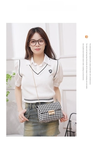 Detailed shot of houndstooth crossbody bag featuring gold buckle and chain strap