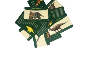 Educational dinosaur knowledge cards with colorful illustrations and scientific facts