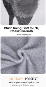 Détail du bonnet d'hiver en tricot gris avec doublure pelucheuse et protège-oreilles