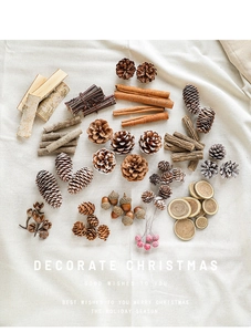 Close-up of Christmas decoration kit with pine cones, cinnamon sticks, and red berries